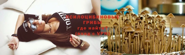 амфетамин Алексеевка