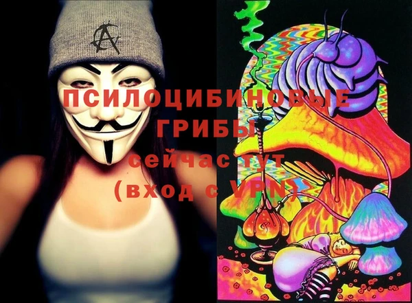 твердый Абинск