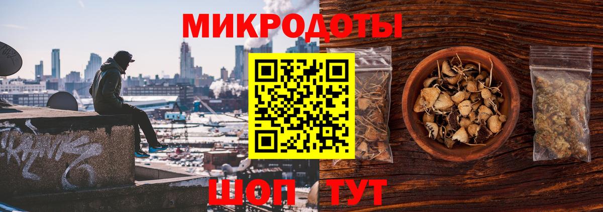 Галлюциногенные грибы Psilocybe Зеленогорск