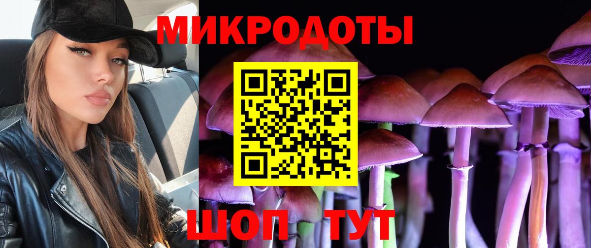 Галлюциногенные грибы мицелий  Вход с VPN  Галлюциногенные грибы мицелий  где найти   Зеленогорск 